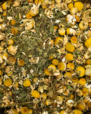 Cairo Chamomile Tea - Camden Tea Shop