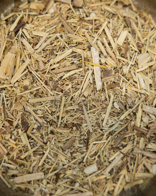 Pure Ginseng Tea - Camden Tea Shop