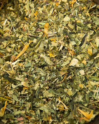 Green Sunshine Tea - Camden Tea Shop