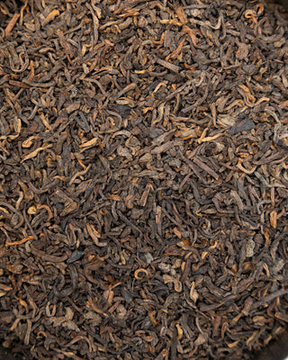 Pine Smoked, Lapsang Souchong Tea - Camden Tea Shop