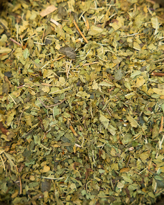 Pure Lemon Verbena Tea - Camden Tea Shop
