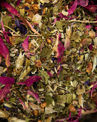 Oooo Lala Tea - Camden Tea Shop