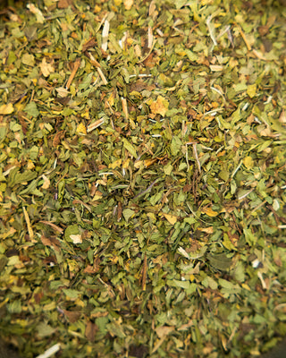 Peppermint Fields Tea - Camden Tea Shop