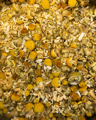 Pure Chamomile Tea - Camden Tea Shop