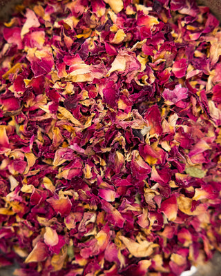 Pure Rose Tea - Camden Tea Shop