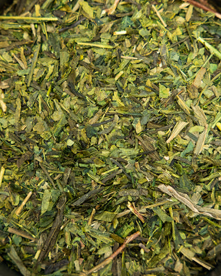 Sencha Tea - Camden Tea Shop
