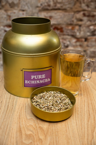 Pure Echinacea Tea - Camden Tea Shop