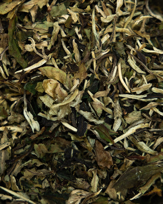 Peony-Bai Mudan Tea - Camden Tea Shop