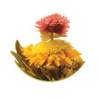 Magical Flowering Tea - Camden Tea Shop