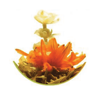 Magical Flowering Tea - Camden Tea Shop