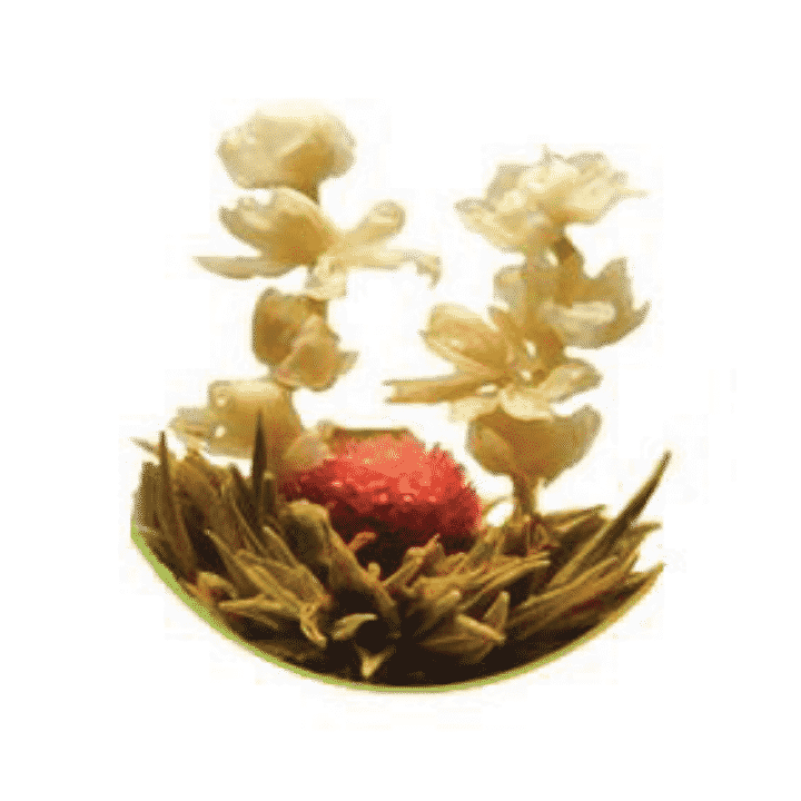 Magical Flowering Tea - Camden Tea Shop
