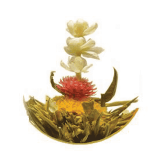 Magical Flowering Tea - Camden Tea Shop