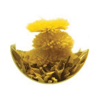 Magical Flowering Tea - Camden Tea Shop