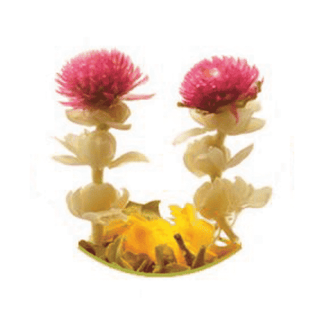 Magical Flowering Tea - Camden Tea Shop